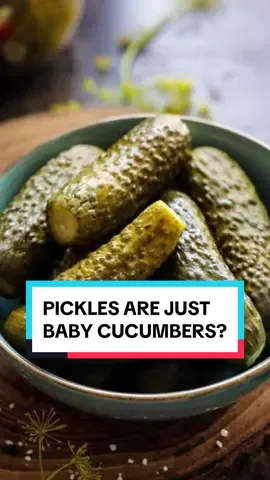 🥒🤷🏻‍♂️ Why are pickled cucumbers called pickles and gherkins but not pickled cucumbers. #pickled #DidYouKnow #didyouknowfacts #funny #podcast #questions #foodtiktok 