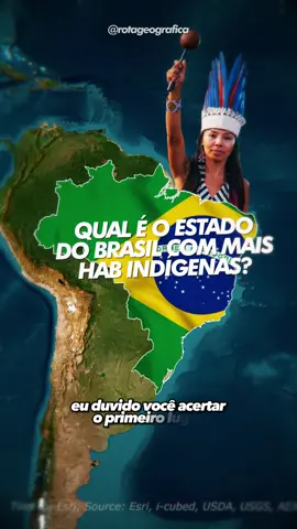 Qual o estado do brasil que mais habitam indigenas? #conhecimento #informação #geografia #mapas #curiosidades #viral #brasil #explicação 