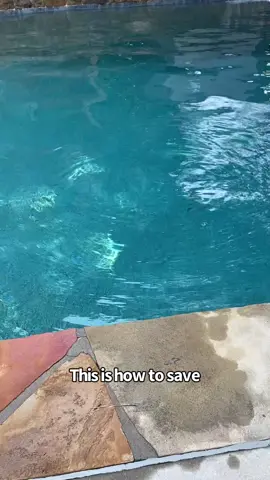 Reach, Throw, Row, and Go (Drowning)