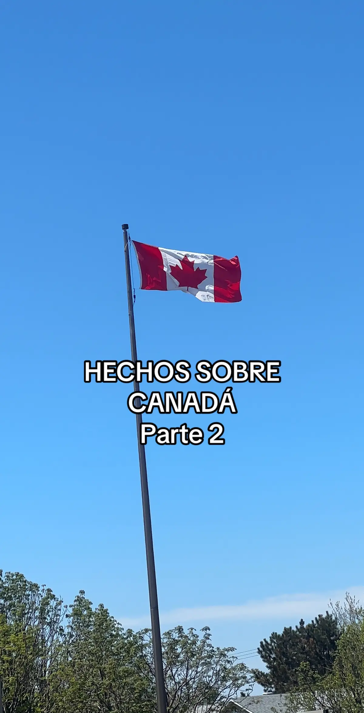 Hechos de Canada parte 2 #canada_life🇨🇦 #canada #canadiens #workingholiday #chile #santiagodechile #chilenosenelextranjero #canadiense #quebec #zxycba #vidaencanada #chile🇨🇱 