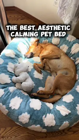 I don’t know who loves this @Lesure Pet calming donut pet bed more…me or my dog.🤣This has to be the cutest bed and it is amazing quality! 🙌🏼💯 I will be purchasing two more for our kittens. Your pet won’t be disappointed. Click link to get yours. 😃👏🏼 . #createwhitchris #calmingpetbed #calmingbedfordogs #petsontiktok #petbeds #petsupplies #petbed #lesurepetbed #lesuredogbed #lesure #dogsoftiktok #dog #tiktokshopping #tiktokfinds #foryou #fyp #foryoupage #petdonutbed #dogdonutbed #catdonutbed #catbed #CapCut 