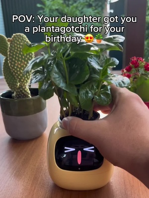 Wow the amazing Plantagotchi™! Intelligent sensors and smart care make plant maintenance a breeze