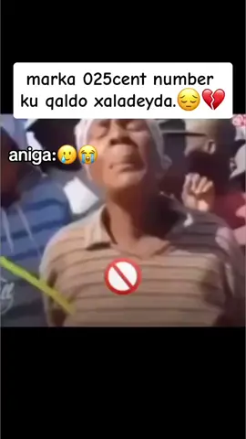#CapCut #maxaigadaye0 #bear🐻😚 #panda🐼🤎 😭