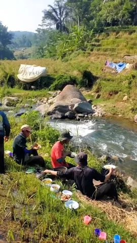 KANTOS NGALAMAN TUANG DI SAWAH?? #suasanapedesaan #KampungSunda 