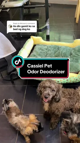 Replying to @MsLeen very effective and affordable cassiel pet odor deodorizer spray✨ #petdeodorizer #cassielpet #disinfectantspray #petspray #petodorremover #deodorizer 