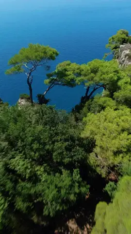 Volando con il mio drone FPV attraverso la montagna spaccata di Gaeta, mi immergo in un paesaggio di pura magia. Le pareti di roccia si innalzano maestose, scolpite dalla natura in forme misteriose e affascinanti. La grotta, con le sue ombre e luci che danzano, sussurra storie antiche, di leggende e segreti nascosti. Ogni angolo rivela un nuovo scorcio mozzafiato, dove il blu del mare si fonde con il calore delle rocce, creando un contrasto di colori che toglie il fiato. È un viaggio tra bellezza e meraviglia, un balletto tra cielo e terra, dove il tempo sembra fermarsi, lasciando spazio solo alla pura emozione del volo e alla poesia della natura. Realizzato con dji avata @djiitaliaofficial @DJI Official 