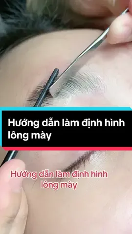 Hướng dẫn làm định hình lông mày siêu dễ luôn #eyelashes #eyelashextension #họcnoimichuyennghiep #chimatto #reviewlamdep #browlamination 