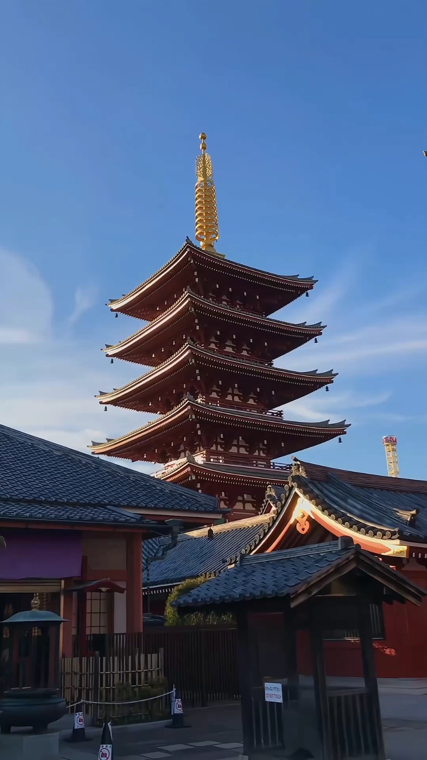 Japan is truly beautiful - 日本 - #foryoupage #japan #japanese #traveltiktok #tokyo #yokohama #japantravel #foruyou #aqua #videoviral #shinkansen #ginza #japan2024 