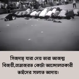 সিজদাহ্ যারা দেয় তারা আজন্ম বিজয়ী, নামাজরত কোটা আন্দোলনকারী ভাইদের সালাত আদায়!🩶#islamic_video #islamicstatus #foryou #foryoupage #fypシ゚viral #unfrezzmyaccount #fyppppppppppppppppppppppp #support_me @TikTok @TikTok Bangladesh 