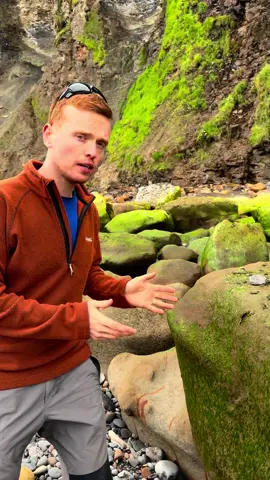 Finding fossil bone! Here’s a Jurassic Ichthyosaur vertebra we found loose in a rock pool! How long had it been sat there? It is roughly 185 million years old! 🏝🐚 Thanks In advance for supporting the page! #natural #nature #fossil #fossils #ancient #animals #art #ammonite #ammonites #dinosaur #scientist  #minerals #paleontology #whitby #geologist #dorset #geology #charmouth #jurassic #yorkshire #fyp