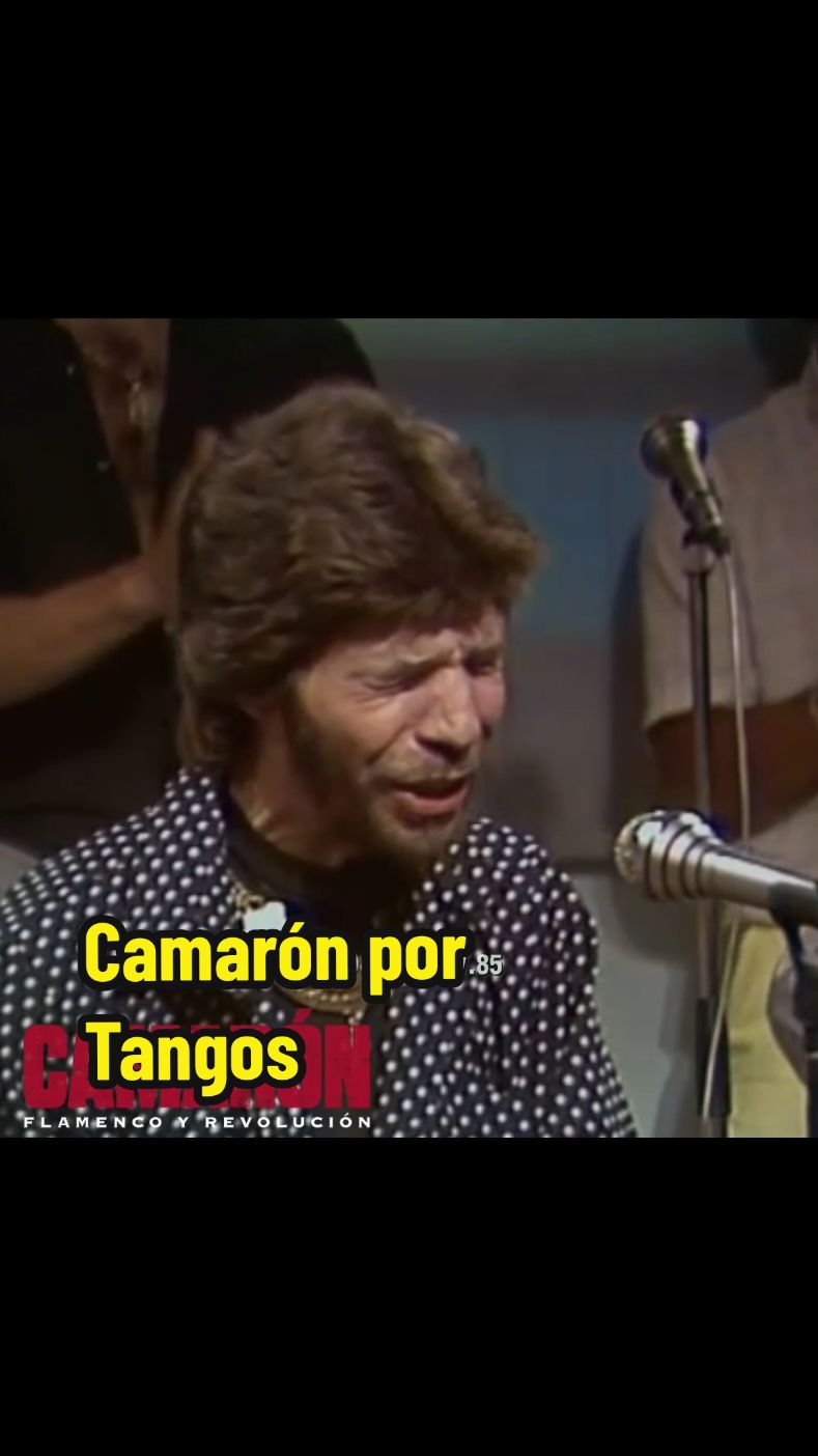 Camarón de la Isla por Tangos 1986 RTVE  #CapCut  #camarondelaisla  #tomatito  #raimundoamador  #tangosflamencos  #flamenco  #rtve 