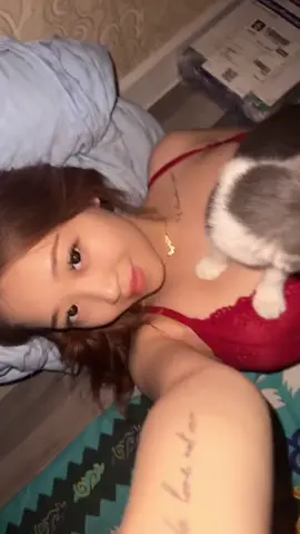#рек #кошка #юмор 