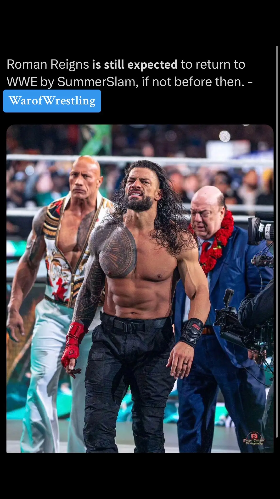 Wow #fyp #foryou #foru #wwetok #wrestlingtiktok #wrestlingtok #wwefight #wwettfam #wwettfamily #romanreigns #reigns #tribalchief #paulheyman #therock 