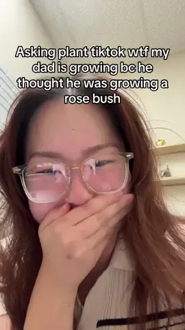 #greenscreen LMAOOOO update video coming soon with my dads reaction 😂😂😂 also @MenardsHomeImprovement can he get a store credit ge bought it from yall lol #plant #plants #plantsoftiktok #planttiktok #PlantTok #rose #roses #rosebush #garden #gardener #gardenersoftiktok #korean #koreandad #koreanparents #parents #immigrant #immigrantparents #dad #oldestdaughter #okdestchild #eldestdaughter #allergy #allergies #omaha #nebraska #omahanebraska #iowa #midwest #menards #menardsfinds 