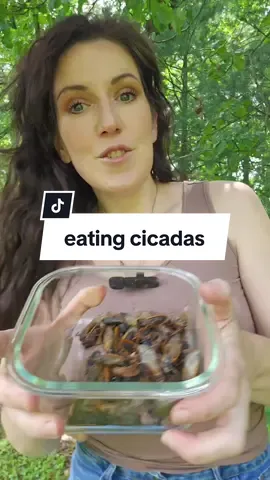 don't throw away your cicadas.  today we're making a healthy nutritious treat... for the 🐔. cooking cicadas outside #cicadas #cookingcicadas #eating #eatingbugs 