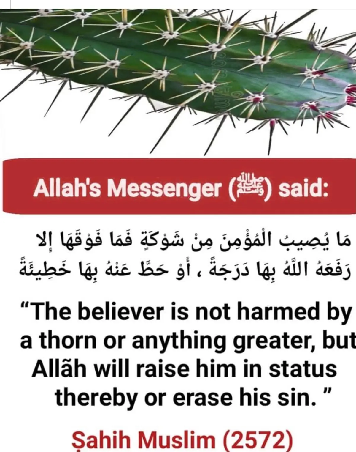 #usa #fyp #worldwide #ontariotiktoker #canada #muslims #viral #VoiceEffects #guyana #capcut #iraq #guyana #world #muslimtiktokshopmalaysia #cat #adghanistan #muslimcouple #islam #islamic_media #islamicstatus 