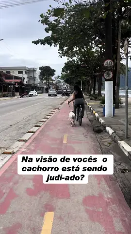 Ela veio puxando o cachorro do alto do morro até essa pista sem parar, claramente o cachorro está desconfortavel com as patinhas doendo e tem momentos que ele perde o passo 😭😭😭😭 #vamosajudar #cachorrosdobrasil 