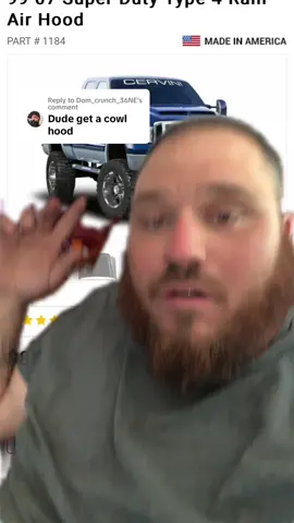 Replying to @Dom_crunch_36NE #greenscreen  I honestly cannot decide what kind of hood I want. I don’t know what looks better when they both look equally amazing. I feel like the rear facing cow would be better for winter time and snow unless I could somehow make some block off for the winter. ##ford##PowerStroke60##DieselTruck 
