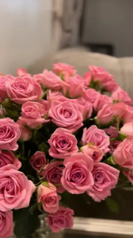 #ورد #محمد_عبده #بدون_موسيقى #اكسبلور #explore #fyppppppppppppppppppppppp #fypp #kuwait #flowers #تصويري 