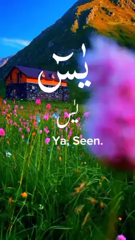 #CapCut #یاسین #yaseen wal Quran El khakeem Islamic republic of Pakistan best telawat Quran Paak 🤘😱👍✨🙏🤘🤘💯🌹👏📉#Al #alquranalkareem0 #Al #CapCut #صالحمہدی #قران_كريم #تلاوات #humor #صبحکاآغازخوبصورتتلاوتقرآنپاکسے #telawat #ماشاءالله #thisismyfirstvideo #pleasedontunderreviewmyvedios🔥 