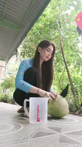 (Hình Dáng Cây Dừa 🌴🌴        Một Thoáng Quê Hương)   