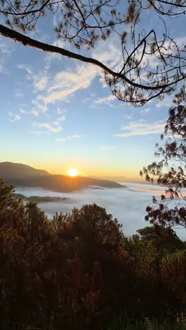 Bontoc Mountain Province never fails me a  beautiful sea of clouds. Starting from Mt Amuyao( my first ever legit sea of clouds)  up until going to Mt Fato and Kupapey  #seaofclouds #bontoc #mountainprovince #Hiking #sunrise 