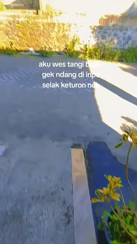 hawane bediding marai ngantok  ,  #fypシ #bahan #mentahan #storywa #fyp #fyppppppppppppppppppppppp 