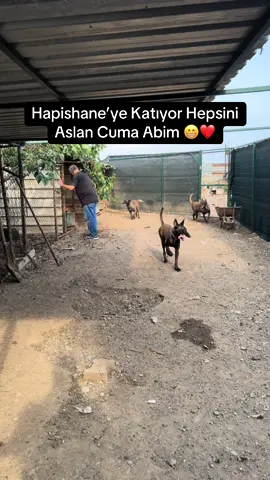 Dünya Star’ları Cuma Abi’mde ✋🏻❤️