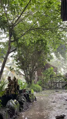 Nothing better than the sound of heavy rain while you’re falling asleep. 🍃🌧️ #peace #nature #vibes #daytime #fyp #foryoupage #rainyday 