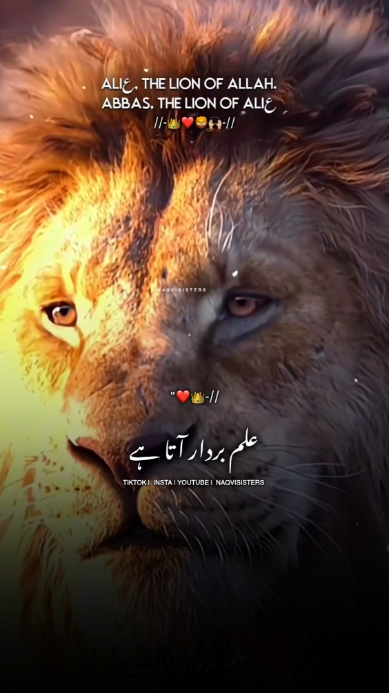 Abbas a.s The lion of Ali a.s ❤️👑🙌🏼 #shehzadaaliakbar #imamhussain #imamraza #muharram #shehzadaqasim #molaabbas #trending #اللهم_صل_على_محمد_وآل_محمد_وعجل_فرجهم #viral #shehzadaaliasghar #foryou #foryou #ahlulbayt #karbala_karbala #muhraam #molaghazi #fyp 