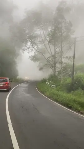 Vibes Jalan menuju Telaga Sarangan Kalau kalian mau ke Telaga Sarangan wajibb lewat sini dipagi harii‼️ Jalan view yg asti,sejuk, apalagi withyou tambahh syahdu ga sihh🥰#telagasarangan #magetan #tawangmangu 
