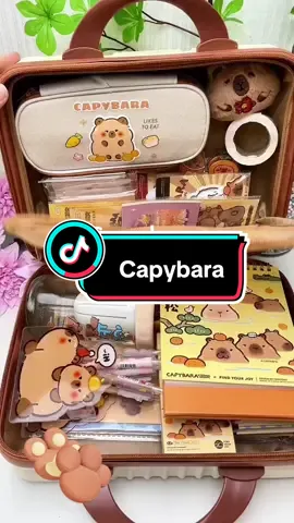 #capybara #stationery #doorgift 