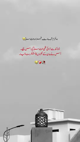 ۷ مُحرّم شہادت شہزادہ قاسمؑ😭 #fypシ゚viral #foryoupage #aesthetic #poetry #viralvideo #unfrezzmyaccount #tiktokpakistan #growmyaccount #1millionaudition #trending #viraltiktok 