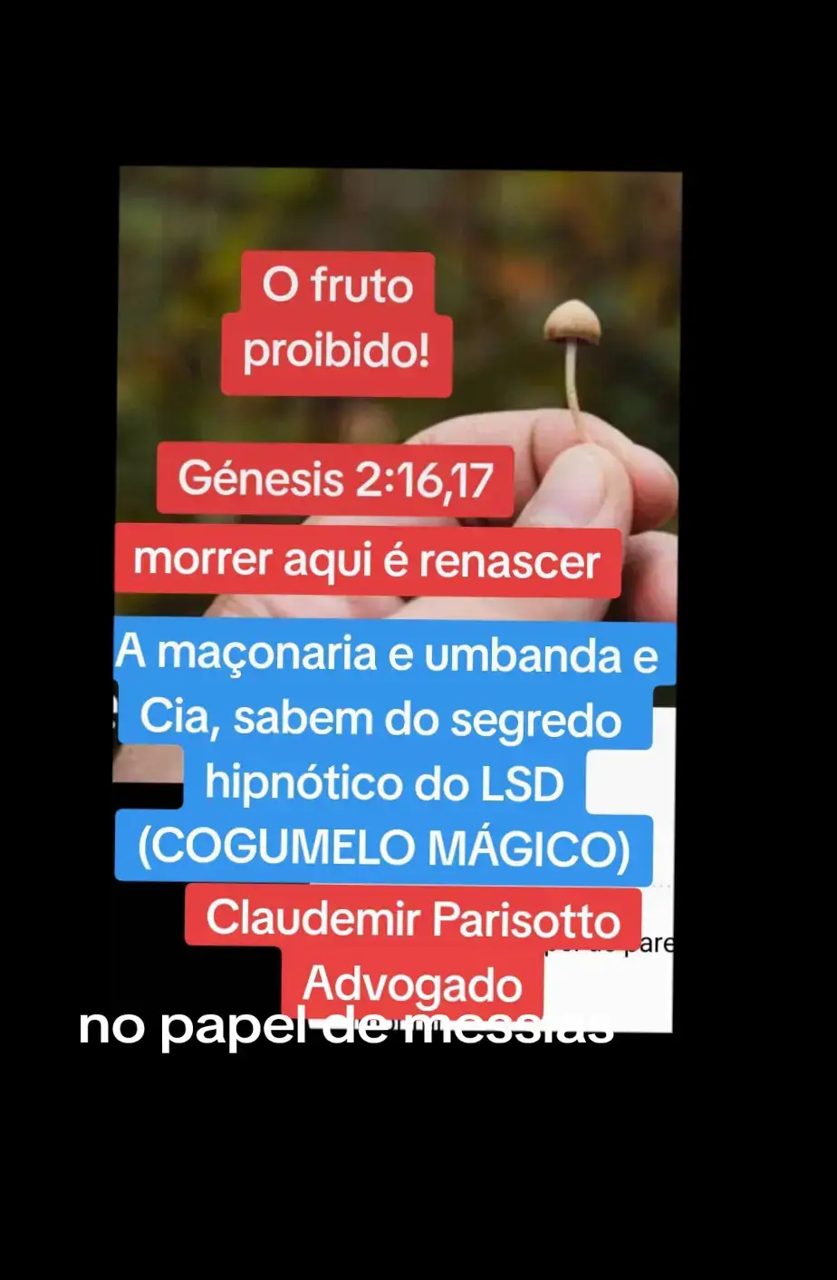 #cogumelo #lula #bolsonaro #umbanda #maconariabrasil #politica #brasil #foryou #fyp #mundo #africa #segredo #hipnose #mente #racional #cerebro #subconsciente #liberdade #patria #familia #vida #evolucao #foryoupage 