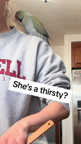 Doing dishes with a talking bird! #birdsoftiktok #parrotsoftiktok #talkingbird #talkingparrot #cuteanimals #funnyanimals #family #parrot #irn 