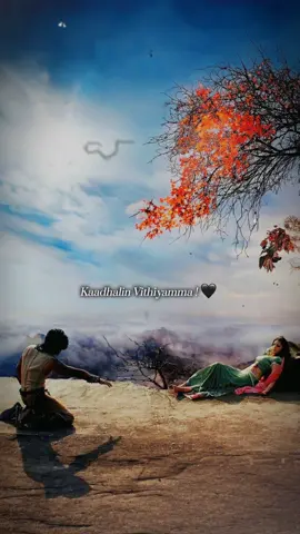 Kaadhalin Vithiyamma🤍 • • • #unaiserndhidavey #requested #maveeran #whatchtillend #favoritesong #favoritemovie #ramcharan #kajalagarwal #Love #bgm #tamil #thanksforsupport #thanksforwatching #fyppppppppppppppppppppppp 