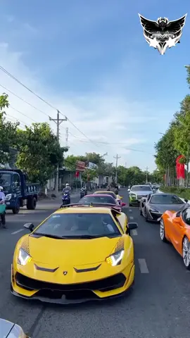 Kết thúc hành trình 😄🇻🇳💥#svj #lamborghini #tuoringteam #thinhhanh #viral #fyp #xuhuong 