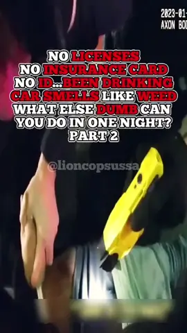 PART 1. NO LICENSES, NO INSURANCE CARD, NO ID BEEN DRINKING CAR SMELLS LIKE WEED... WHAT ELSE DUMB CAN YOU DO IN ONE NIGHT? #copsoftiktok #policeofficer #cops #bodycam #crime #lioncopsusa #fyb 