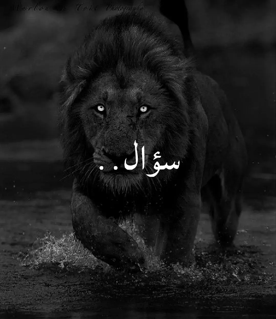 شو رح تسوي #اقتباس #مملكة_الفخامة👑 #عبر #لحظة_تردد #عبارات_جميلة_وقويه😉🖤 #quote 