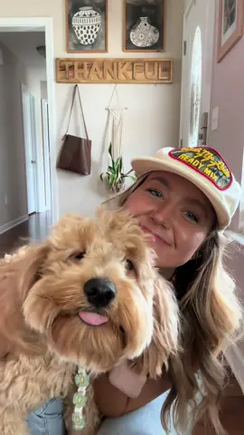 Woody is obsessed w my outfit 😌 lmk if youre curious about any other outfit details!!!!  ##styleover30##OOTD##pacsunjeans##goldendoodles