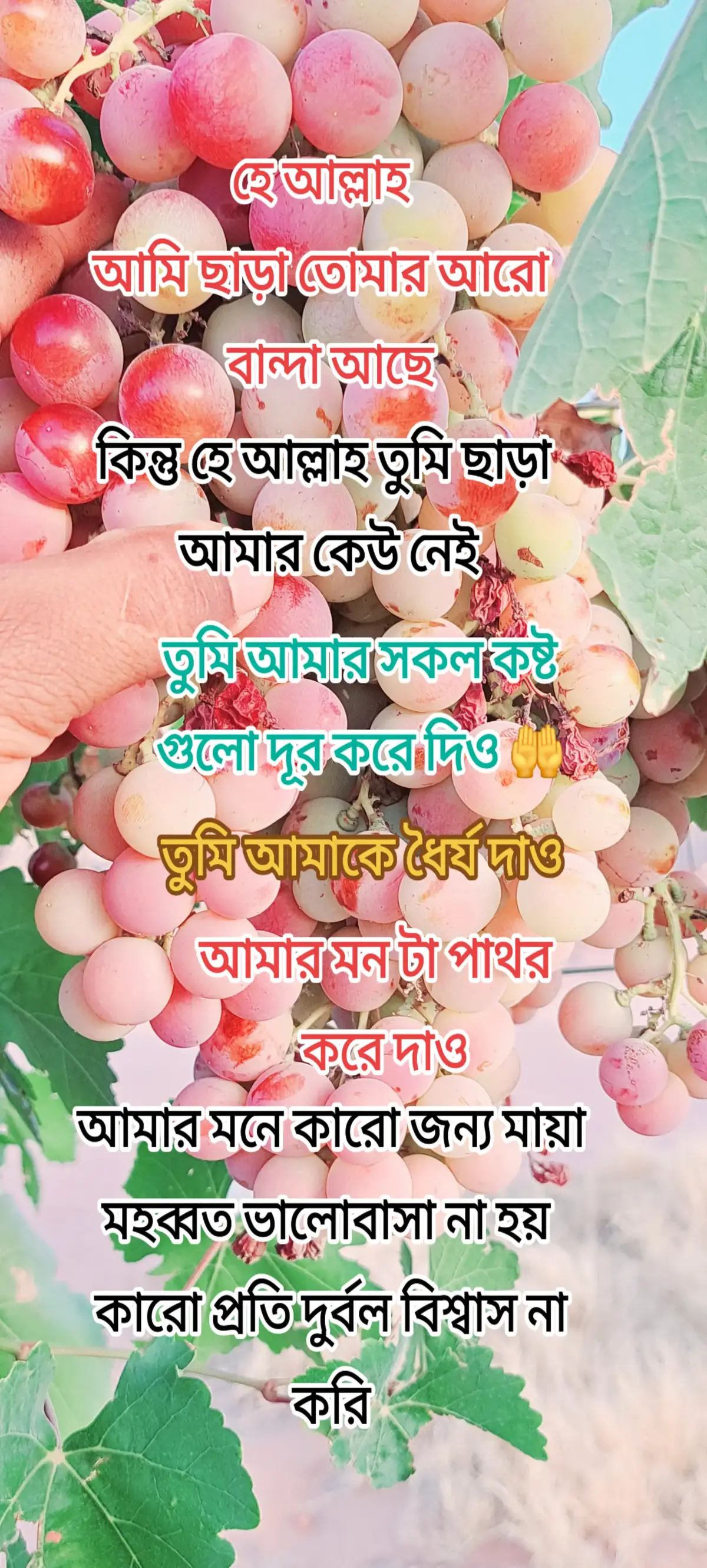 #সৌদি_প্রবাসী🇧🇩🇧🇩🇸🇦🇸🇦🇸🇦 #টাংগাইলের_পোলা #ariyan #parvez #viraltiktok #foryou #foryoupag  #bangladesh #😭😭😭😭😭😭💔💔💔💔 #