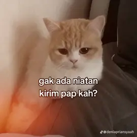 😖🥀 #fyp #kucinglucu 