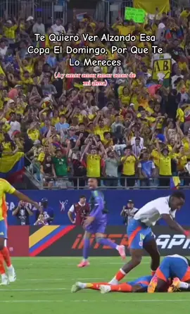 Copa America 😍 Te lo mereces 🥰 #copaamerica #jamesrodriguez @James Rodríguez #colombiano #partido 