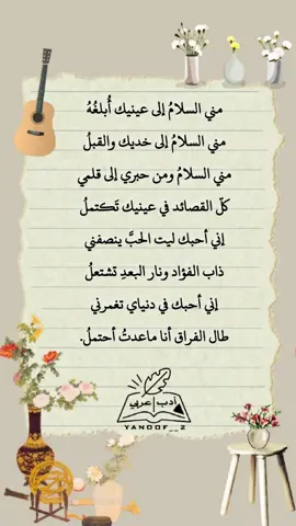 #أبيات_من_الشعر #أدب_عربي #تك_توك 