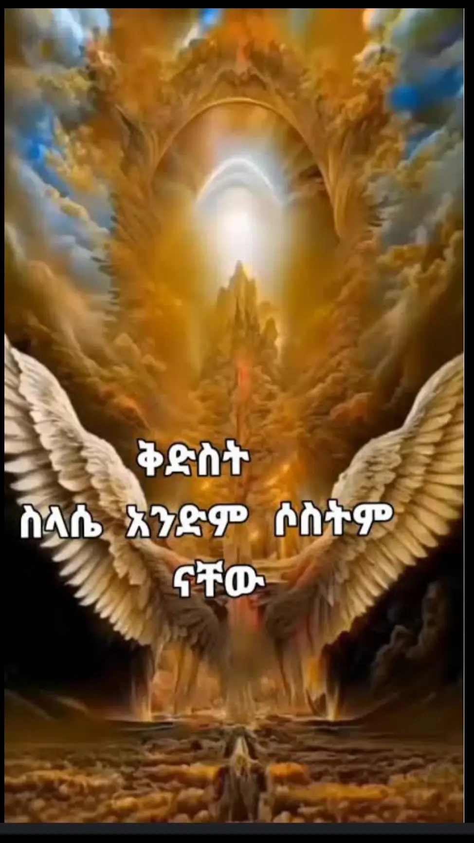 በ ‹‹ምሥጢረ ሥላሴ›› ትምህርት እንደምንረዳው ቅድስት ሥላሴ አንድም ሦስትም ናቸው፡፡ ‹‹ሥላሴ›› የሚለው ቃል ‹‹ሠለሰ፤ ሦስት አደረገ›› ከሚለው የግእዝ ግሥ የተገኘ ሲሆን ትርጉሙ ሦስትነት ማለት ነው፡፡  (መጽሐፍ ሰዋስው ወግስ ወመዝገበ ቃላት ገጽ ፮፻፷፱) ቅድስት ሥላሴ ስንልም አብ፣ ወልድ፣ መንፈስ ቅዱስ ማለታችን ነው፡፡  ‹‹ቅድስት›› ተብሎ ደግሞ በሴት አንቀጽ /ቅድስት ሥላሴ/  ይጠራል፤ ‹‹ቅድስት›› እና ‹‹ልዩ ሦስት›› የሚባልበትም ሃይማኖታዊ ምሥጢር፡- ፩.    ቅድስት ሥላሴ ‹‹ቅድስት›› ተብለው በሴት አንቀጽ መጠራታቸው ሴት /እናት/ ልጅዋን መውለዷን እንደማትጠረጥረው ሁሉ ሥላሴም ይህን ዓለም መፍጠራቸውን ስለማይጠረጥሩ ነው፡፡ ሁሉም ከእነርሱ፣ ለእነርሱ፣ በእነርሱ ሆኗልና፡፡ ሴት ወይንም እናት ልጅዋ ቢታመምባት እንዲሞትባት አትሻም፤ ሥላሴም ከፍጥረታቸው አንዱ እንኳን በጠላት ዲያብሎስ እንዲገዛባቸው አይፈቅዱም፡፡ ሴት ፈጭታ ጋግራ ቤተሰቦቿን እንደምትመግበው ሥላሴም በዝናም አብቅለው በፀሐይ አብስለው ፍጥረቱን ሁሉ ስለሚመግቡ ‹‹ቅድስት ሥላሴ›› እያልን እንጠራቸዋለን፡፡ ፪. ልዩ ሦስትነት በትምህርተ ሃይማኖት ሥላሴ በቅድምና፣ በፈጣሪነት፣ በሥልጣን፣ በመመስገን፣ በክብር፣ በፈቃድ አንድ /እግዚአብሔር/ ሲሆኑ በስም፣ በአካል፣ በግብር ሦስት መሆናቸውን ይገልጻል፡፡ ሀ.    በስም የቅድስት ሥላሴ የስም ሦስነትነት አብ፣ ወልድ፣ መንፈስ ቅዱስ ተብለው መጠራታቸው ነው፡፡  አብ በራሱ ስም አብ ይባላል እንጂ ወልድ፣ መንፈስ ቅዱስ አይባልም፡፡ ወልድም ወልድ ይባላል እንጂ አብ ወይንም መንፈስ ቅዱስ አይባልም፡፡ መንፈስ ቅዱስም መንፈስ ቅዱስ ቢባል እንጂ አብ ወይንም ወልድ አይባልም፤ ስማቸው ፈጽሞ የማይፋለስ ነውና፡፡ ከቅዱስ ጴጥሮስ ቀጥሎ በሦስተኛነት በአንጾኪያ ተሹሞ የነበረው ቅዱስ አግናጥዮስ ‹‹አብሂ ውእቱ አብ ወኢኮነ ወልደ ወኢ መንፈሰ ቅዱሰ፣ ወልድሂ  ውእቱ ወልድ ወኢኮነ አበ ወኢ መንፈሰ ቅዱሰ፣ ወመንፈስ ቅዱስሂ መንፈስ ቅዱስ ውእቱ ኢኮነ አበ ወኢ ወልደ፣ ኢይፈልስ  አብ ለከዊነ ወልድ ወመንፈስ ቅዱስ፣ ወኢ ወልድ ለከዊነ አብ ወወልድ፤ ወኢ መንፈስ ቅዱስ ለከዊነ አብ ወወልድ፤ አብም አብ ነው እንጂ ወልድን መንፈስ ቅዱስን አይደለም፤ ወልድም ወልድ ነው እንጂ አብን መንፈስ ቅዱስንም አይደለም፡፡ መንፈስ ቅዱስም መንፈስ ቅዱስ ነው እንጂ አብን ወልድን አይደለም፤ አብ ወልድን መንፈስ ቅዱስን ወደመሆን አይለወጥም፤ ወልድም አብን መንፈስ ቅዱስን ወደመሆን አይለወጥም፤ መንፈስ ቅዱስም አብን ወልድን ወደመሆን አይለወጥም››  ብሏል፡፡ (ሃይ. አበው ዘቅዱስ አግናጥዮስ ምዕ. ፲፩. ገጽ. ፴፯) የቅድስት ሥላሴ ስማቸው ከአካላቸው፣ አካላቸው ከስማቸው ሳይቀድም ቅድመ ዓለም የነበረ ስም ነው እንጂ ድኅረ ዘመን የተገኘ አይደለም፡፡ ቅድምናቸው ዘመኑን ቢወስነው እንጂ ዘመኑ ቅድምናቸውን አይወስነውምና፡፡ (መንገደ ሰማይ-በብፁዕ አቡነ መቃርዮስ ገጽ. ፴፪) ስለዚህም ሊቁ ቅዱስ ጎርጎርዮስ ገባሬ መንክራት ‹‹ወናሁ ንቤ ካዕበ አብ ወወልድ ወመንፈስ ቅዱስ ወአኮ እሉ አስማት ዘቦኡ ላዕሌሆሙ ድኅረ አላ እሙንቱ እስመ አካላት፡፡ ወብሂለ ሰብእሂ አኮ ውእቱ ስም ዳዕሙ ፍጥረት ውእቱ… ወአካሎሙኒ ለሥሉስ ቅዱስ ወአስማቲሆሙ አልቦ ውስቴቶሙ ዘይዴኀር አላ እሉ እሙንቱ ብሉያነ መዋዕል እምቀዲሙ ዘእንበለ ጥንት ወዘመን፤ አሁን ደግሞ አብ ወልድ መንፈስ ቅዱስ እንላለን ግን አካላት ተቀድመው ተገኝተው እሊህ ስሞች ኋላ የተጠሩባቸው አይደለም፤ ሰው ማለት ኋላ የወጣ ስም አይደለም፡፡ ባሕርዩ ነው እንጂ የሥላሴ አካላቸውም ቀድሞ ስማቸው ከአካላቸው በኋላ የተገኘ አይደለም፡፡ ጥንት ሳይኖራቸው ዘመን ሳይቀድማቸው የነበሩ ናቸው እንጂ›› ብሎ ተናግሯል፡፡ (ሃይ-አበው ዘቅዱስ ጎርጎርዮስ ገባሬ መንክራት ፲፫፥፬-፰ ገጽ ፵) ለ.    በአካል የቅድስት ሥላሴ የአካል ሦስትነታቸው ደግሞ አብ ፍጹም አካል፣ ፍጹም ገጽ፣ ፍጹም መልክእ አለው፡፡ ወልድም ፍጹም አካል፣ ፍጹም ገጽ፣ ፍጹም መልክእ አለው፡፡ መንፈስ ቅዱስም ፍጹም አካል፣ ፍጹም ገጽ፣ ፍጹም መልክእ አለው፡፡ ሊቁ አቡሊዲስ ስለ ሥላሴ የአካል ሦስትነት ሲገልጽ ‹‹ነአምን በአብ ወወልድ ወመንፈስ ቅዱስ ከመ ሠለስቱ ገጻት ፍጹማነ መልክእ ወአካል እሙንቱ እንዘ አሐዱ መለኮቶሙ ዘበአማን፤ ባሕርያቸው በእውነት አንድ ሲሆን በመልክ፣ በአካል ፍጹማን እንደሆኑ ሦስት ገጻት እንደሆኑ በአብ በወልድ በመንፈስ ቅዱስ እናምናለን›› ብሏል፡፡ (ሃይ. አበ. ዘአቡሊዲስ ምዕ. ፴፱፥፫ ገጽ ፻፴፯) ሐ.    በግብር የቅድስት ሥላሴ የግብር ሦስትነታቸው ሲተረጎም የአብ ግብሩ መውለድ ማሥረፅ ነው፤ ወልድን ወልዷል፣ መንፈስ ቅዱስንም አሥርፇልና፡፡ የወልድ ግብሩ መወለድ ነው፤ ከአብ ተወልዷልና፡፡ የመንፈስ ቅዱስ ግብሩ መሥረፅ ነው፤ ከአብ ሠርፇልና፡፡ አብ ወልድን ቢወልድ፣ መንፈስ ቅዱስንም ቢያሠርፅ እንጂ አይወለድም፣ አይሠርፅም፡፡ ወልድ ቢወለድ እንጂ አይወልድም፤ አይሠርፅም፤ አያሠርፅም፡፡ መንፈስ ቅዱስ ቢሠርፅ እንጂ አይወለድም፤ አያሠርፅም፤ በመሆኑም ቅድስት ሥላሴ በዚህ ግብራቸው አብ ወላዲ፣ ወልድ ተወላዲ፣ መንፈስ ቅዱስ ሠራፂ ተብለው ይጠራሉ፡፡ በእርግጥ ምሥጢረ ሥላሴን በሚገባ መርምሮ መረዳት ለማንም ቢሆን አይቻለውም፡፡ እርሱ ባወቀ ግን ምሥጢረ ሥላሴ በምሥጢረ ጥምቀት ተገልጧል፡፡  እንግዲህ እምነታችንን በቅድስት ሥላሴ ላይ በማድረግ በቀናች ሃይማኖት ልንጸና ይገባል፡፡ ምንጭ፡- ኦሪት ዘፍጥረት አንድምታ ትርጓሜ፣ መጽሐፍ ስዋሰው ወግስ ወመዝገበ ቃላት በአለቃ ኪዳነ ወልድ፣ ሃይማኖተ አበው (ዘቅዱስ አግናጥዮስ፣ዘቅዱስ ጎርጎርዮስ ገባሬ መንክራት፣ዘአቡሊደስ) እና መንገደ ሰማይ–በብፁዕ አቡነ መቃርዮስ ወስብሐት ለእግዚአብሔር!