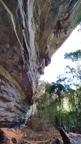 Gruta da Lapa Doce A Gruta da Lapa Doce oferece uma experiência imperdível para quem gosta de desvendar as belezas subterrâneas. Os 850 metros abertos à visitação representam apenas uma pequena parte de um sistema de 42 km de cavernas. Chega-se à boca da gruta após uma descida por trilha e escadas, que é íngreme e um tanto sinuosa, mas não impõe grandes dificuldades. Ali o tempo parece parar para contemplarmos as incríveis formações de rochas calcárias, com espeleotemas, estalactites e estalagmites esculpidas pela natureza ao longo de milhões de anos. É possível estender o roteiro para conhecer também pinturas rupestres originárias da região. Distância de carro: 68 km de Lençóis, 31 km de Palmeiras, 104 km de Mucugê (cerca de 2h30) e 11 km de Iraquara Percurso a pé: 1,5 km a 2 km Tempo médio: 1h30 Esforço físico: moderado #grutadalapadoce  #chapadadiamantina  #nature  #trip  #natureza  #lencois  #bahia  #brasil 
