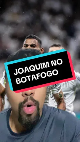 Joaquim no Botafogo! #joaquim #botafogo #santos #tiktokesportes 