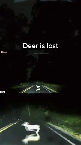 Couldn’t figure out where to go #car #carcrash #dashcam #caughtoncamera 