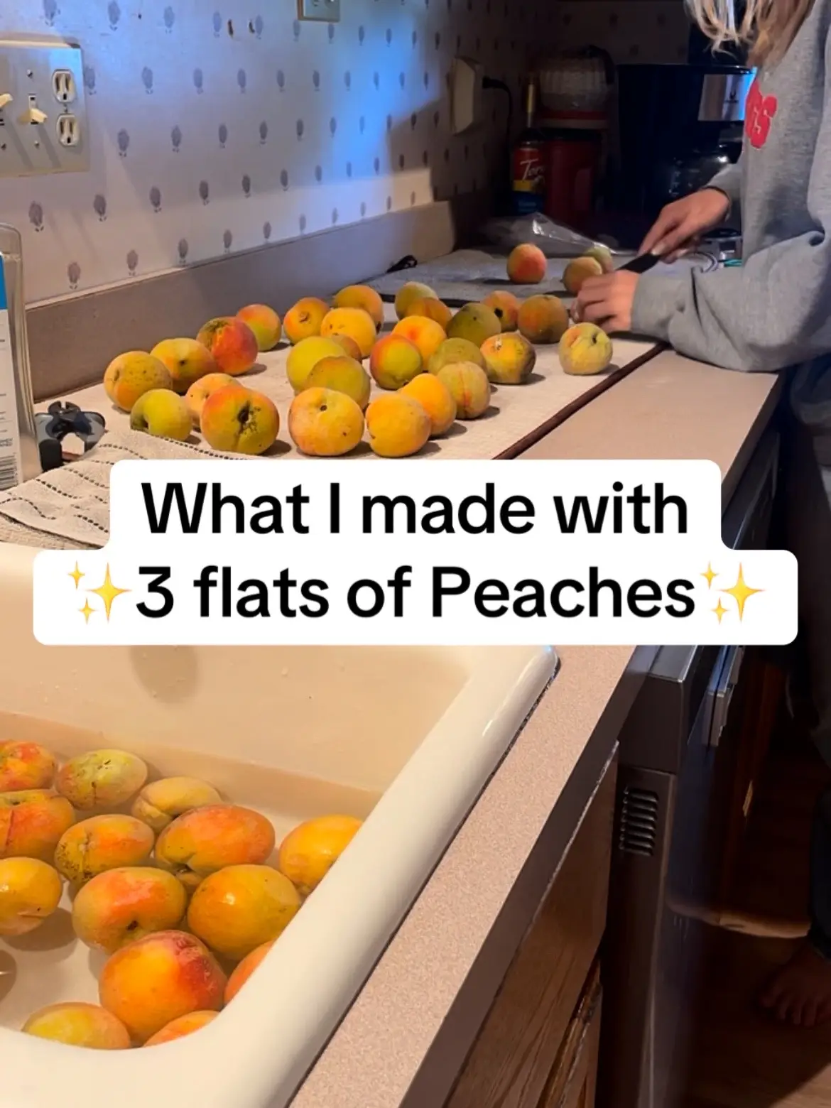 Processing these peaches has taken so much time! I have a new appreciation for literally any canned or frozen peaches. 😅 #backyardgarden #freshpeaches #peachrecipe #freshfruit #selfsufficient #peachtree  Backyard gardening Processing fresh peaches Peach recipes Fresh peaches Self sufficient Peach tree