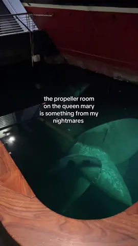 The queen mary has so many layers to its creepiness its insane. Nightmare fuel from this for sure #paranormal #spooky #spookyfoodie #ghoststories 
